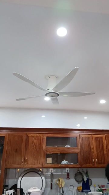 Quạt trần Điện Cơ. Mua bán Quạt tại Quận Nam Từ Liêm Hà Nội được đăng bởi Lăng Nguyễn hình 1