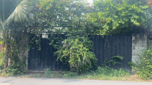 Cho thuê Văn phòng, Mặt bằng kinh doanh Huyện Bình Chánh Tp Hồ Chí Minh diện tích 350 m² giá 7 triệu/tháng