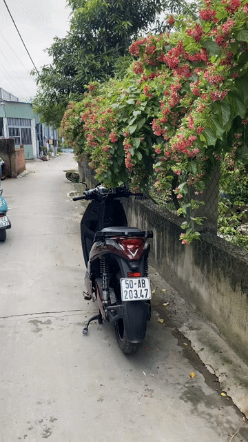 Xe máy điện VinFast Theon S 2025 Đỏ. Mua bán Xe máy tại Quận Bình Tân Tp Hồ Chí Minh được đăng bởi Xe Điện GV hình 1