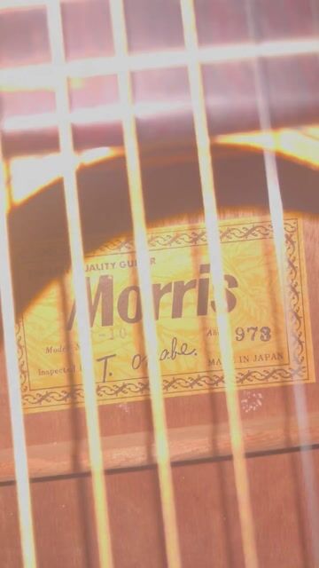 Đàn guitar Morris F10 1973 Gỗ Nâu. Mua bán Nhạc cụ tại Thành phố Nha Trang Khánh Hòa được đăng bởi Tran ngoc huy hình 1