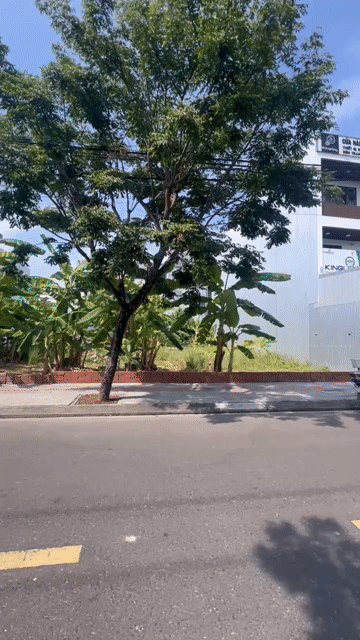 Mua bán Đất Quận Cẩm Lệ Đà Nẵng diện tích 121 m² giá 7,98 tỷ