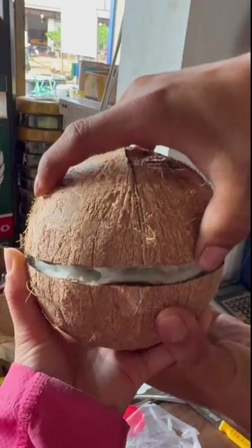 đặc sản dừa sáp.có shíp. Mua bán Đồ ăn, thực phẩm và các loại khác tại Thành phố Thủ Đức Tp Hồ Chí Minh được đăng bởi lúa gạo hình 1