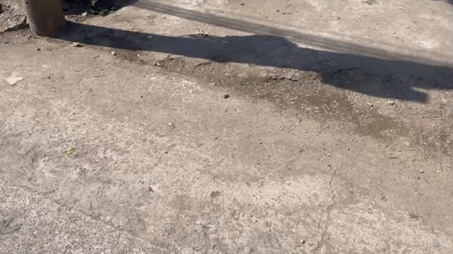 Mua bán Đất Huyện Nhơn Trạch Đồng Nai diện tích 72 m² giá 1,5 tỷ