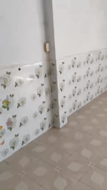 Cho thuê Phòng trọ Quận Bình Thạnh Tp Hồ Chí Minh diện tích 40 m² giá 4,5 triệu/tháng