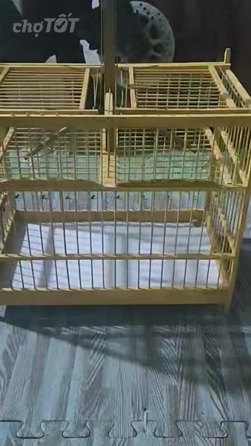 Lồng chim chào mào gỗ nuôi lụp. Mua bán Chim tại Thành phố Thủ Đức Tp Hồ Chí Minh được đăng bởi Minh hình 1