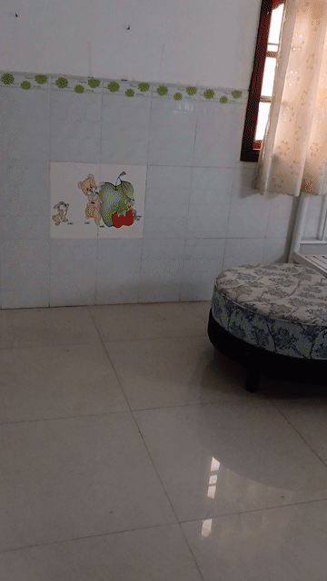 Cho thuê Nhà ở Quận Tân Bình Tp Hồ Chí Minh diện tích 56 m² giá 8,3 triệu/tháng