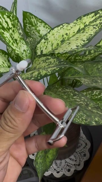 Mặt thắt lưng Inox 316 gắn thủ công từng viên đá. Mua bán Phụ kiện thời trang khác tại Quận Cầu Giấy Hà Nội được đăng bởi pham minh long hình 1