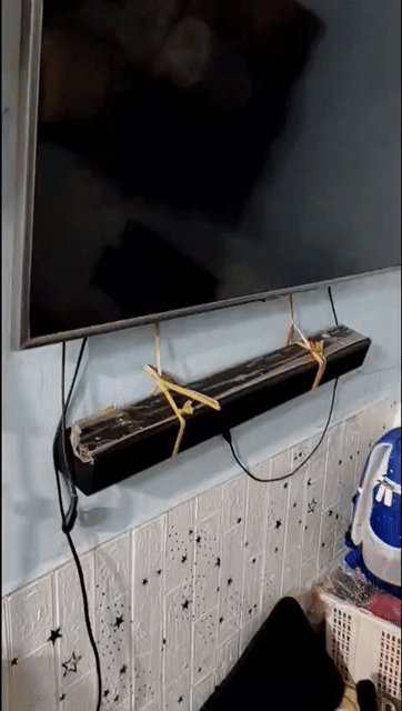 Loa thanh Samsung HW-J250. Mua bán Tivi, Âm thanh tại Thành phố Châu Đốc An Giang được đăng bởi ken hình 1