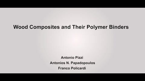 Wood Composites and Their Polymer Binders