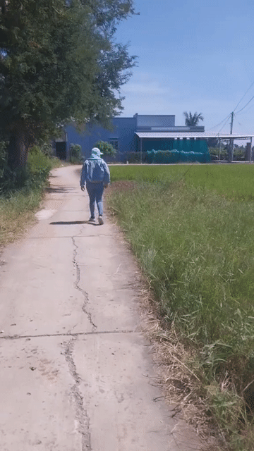 Mua bán Đất Huyện Gò Công Tây Tiền Giang diện tích 183 m² giá 390 triệu