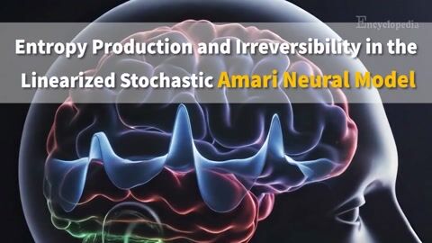 Encyclopedia-Entropy Production and Irreversibility in the Linearized Stochastic Amari Neural Model