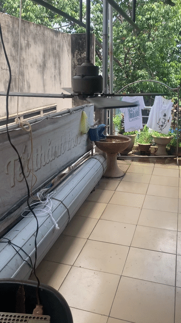 Quạt trần Emerson 4 cánh Gỗ 110V. Mua bán Quạt tại Thành phố Biên Hòa Đồng Nai được đăng bởi Quang hình 1