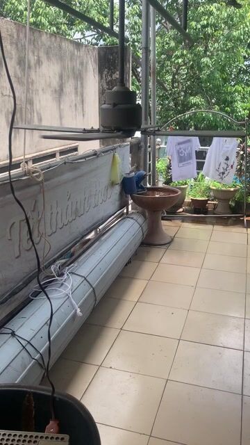 Quạt trần Emerson 4 cánh Gỗ 110V. Mua bán Quạt tại Thành phố Biên Hòa Đồng Nai được đăng bởi Quang hình 1