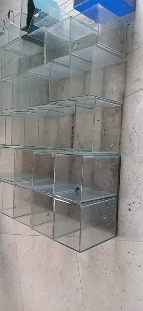 e thanh lý một số hồ nhỏ nuôi betta . Mua bán Phụ kiện, Thức ăn, Dịch vụ tại Huyện Cần Giuộc Long An được đăng bởi nhok giang hình 1