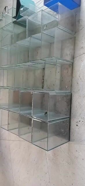 e thanh lý một số hồ nhỏ nuôi betta . Mua bán Phụ kiện, Thức ăn, Dịch vụ tại Huyện Cần Giuộc Long An được đăng bởi nhok giang hình 1