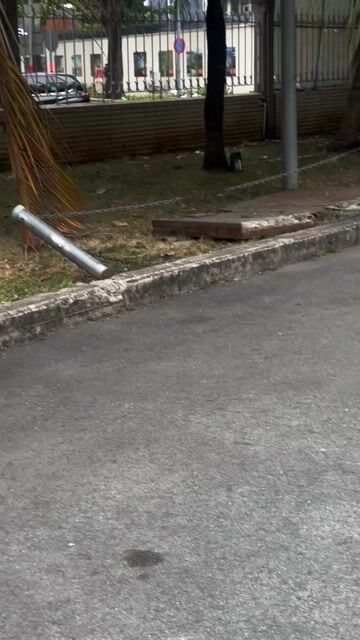 Honda Wave Alpha Đỏ. Mua bán Xe máy tại Quận 1 Tp Hồ Chí Minh được đăng bởi Dương Trần Sang hình 1