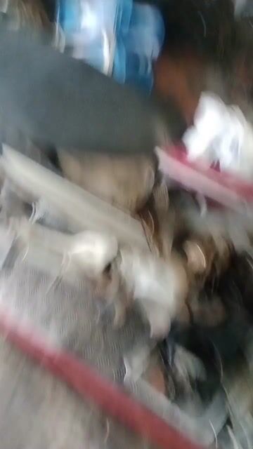 Bán xe future neo 110cc. Mua bán Xe máy tại Thành phố Biên Hòa Đồng Nai được đăng bởi Cu Bắp hình 1