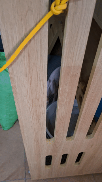 Mèo Sphynx Trắng hồng 2 tuổi. Mua bán Mèo tại Quận Thanh Xuân Hà Nội được đăng bởi Cần Vũ hình 1