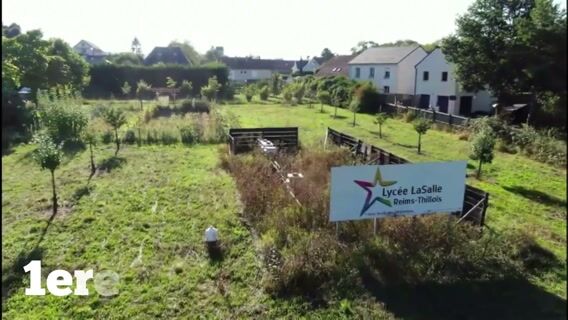 Stav option Transformation Alimentaire