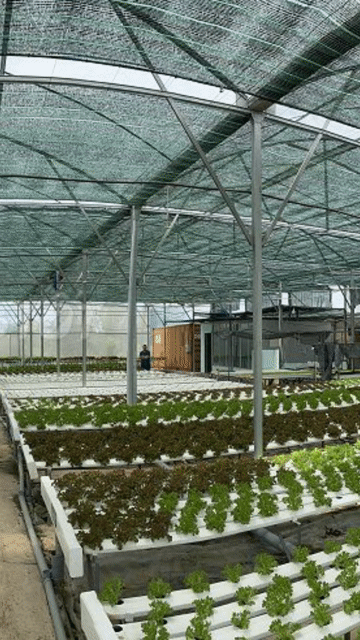 Mua bán Đất Huyện Bình Chánh Tp Hồ Chí Minh diện tích 1140 m² giá 3,8 tỷ