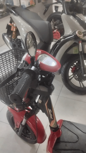 Xe đạp điện 133 Đỏ Như mới. Mua bán Xe đạp tại Quận Tân Bình Tp Hồ Chí Minh được đăng bởi Duc Huy Vu hình 1