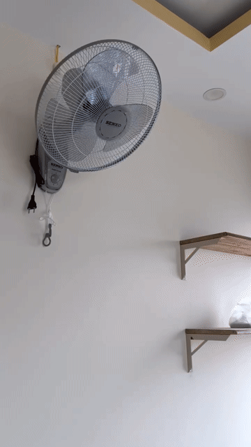 Mua bán Căn hộ Chung cư Bigemco Building Quận 11 Tp Hồ Chí Minh diện tích 85 m² giá 4,725 tỷ