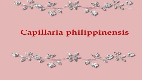 Capillaria philippinensis: The Virulent Parasite