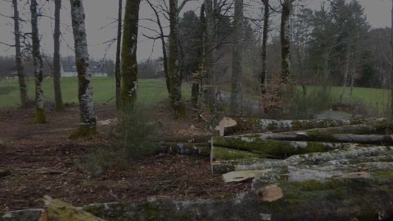 Nous sommes bûcherons