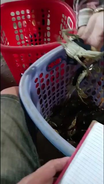 Cua Cà Mau Cua thịt. Mua bán Đồ ăn, thực phẩm và các loại khác tại Quận Tân Phú Tp Hồ Chí Minh được đăng bởi đỗ đạt hình 1