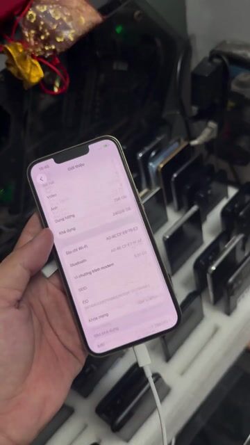 Apple iPhone 13 Pro 256GB Vàng 98%. Mua bán Điện thoại tại Quận Gò Vấp Tp Hồ Chí Minh được đăng bởi Quảng Phạm Mua Iphone Lock và QT  HCM hình 1