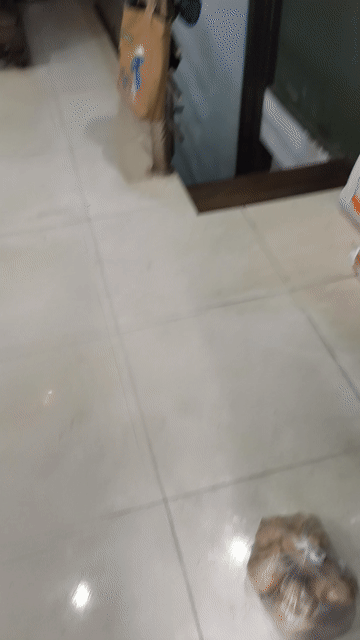 Mua bán Nhà ở Quận Tây Hồ Hà Nội diện tích 40 m² giá 3,85 tỷ