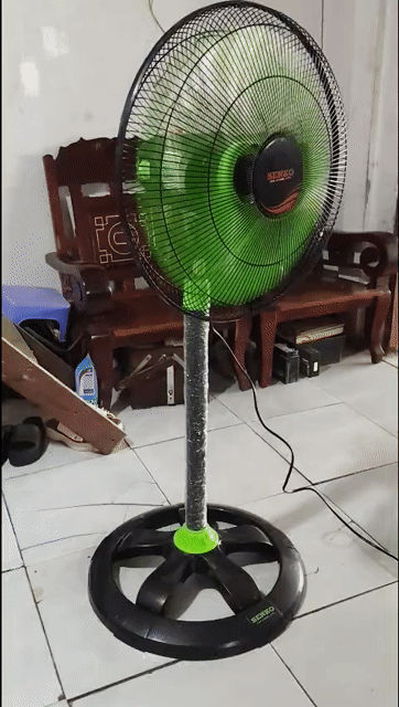 Quạt đứng SENKO Đen, Xanh lá. Mua bán Quạt tại Quận Cái Răng Cần Thơ được đăng bởi Võ Thị Mơ hình 1