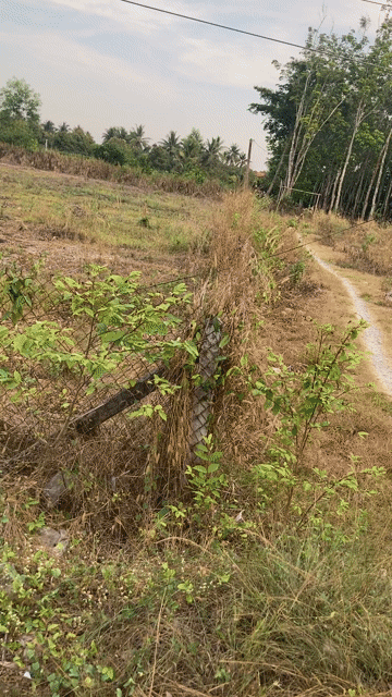 Mua bán Đất Huyện Hòa Thành Tây Ninh diện tích 3800 m² giá 6,5 tỷ