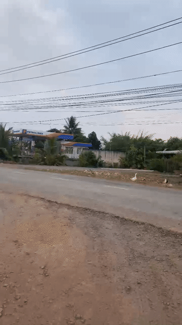 Mua bán Đất Huyện Đức Huệ Long An diện tích 812 m² giá 2,35 tỷ