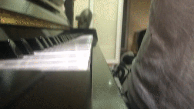 Đàn Piano Columbia Đen Đã sử dụng. Mua bán Nhạc cụ tại Thành phố Phúc Yên Vĩnh Phúc được đăng bởi Kiên Hoàng hình 1