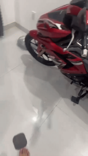 xe chính chủ kí uỷ quyền. Mua bán Xe máy tại Thành phố Mỹ Tho Tiền Giang được đăng bởi Thanh Bình hình 1