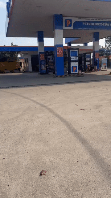 Cho thuê Phòng trọ Thị xã Điện Bàn Quảng Nam diện tích 80 m² giá 1,9 triệu/tháng