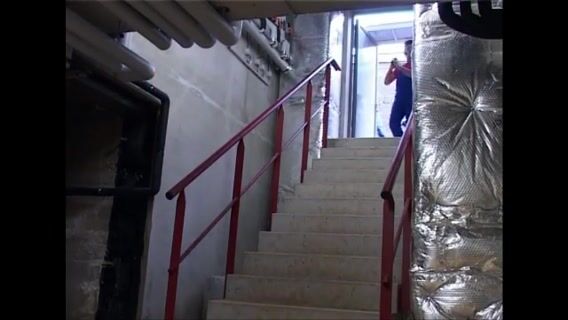 Sur les traces de Mario et Luigi