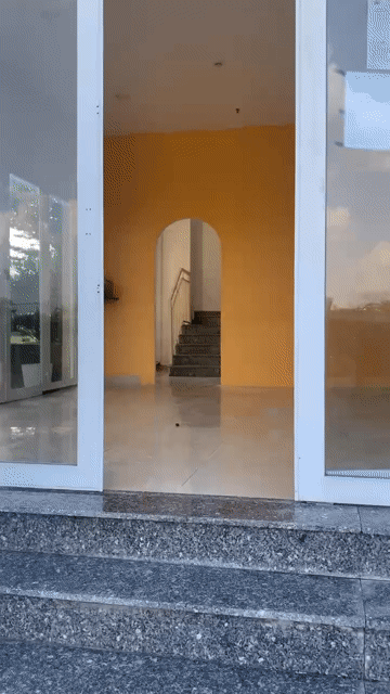 Cho thuê Văn phòng, Mặt bằng kinh doanh Dream Home Palace Quận 8 Tp Hồ Chí Minh diện tích 80 m² giá 9 triệu/tháng