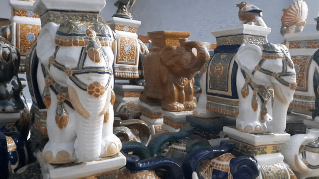 Đôn Voi Biên Hòa 🐘🐘🐘. Mua bán Cây cảnh, đồ trang trí tại Thành phố Biên Hòa Đồng Nai được đăng bởi Phúc Khang hình 1