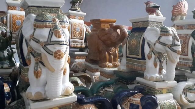 Đôn Voi Biên Hòa 🐘🐘🐘. Mua bán Cây cảnh, đồ trang trí tại Thành phố Biên Hòa Đồng Nai được đăng bởi Phúc Khang hình 1