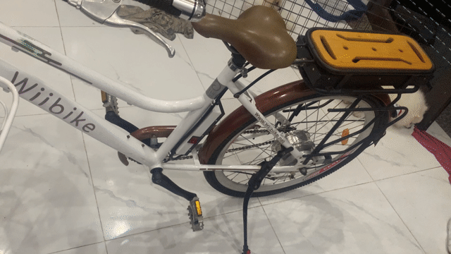 Xe đạp điện Wiibike Trắng Đã sử dụng. Mua bán Xe đạp tại Huyện Thanh Trì Hà Nội được đăng bởi VU PHI KHANH hình 1