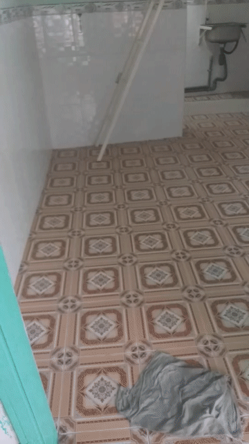 Cho thuê Phòng trọ Quận Gò Vấp Tp Hồ Chí Minh diện tích 12 m² giá 1,9 triệu/tháng