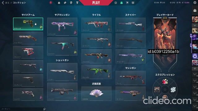 【課金額20万】valorantワンオーナー引退　値下げ可能