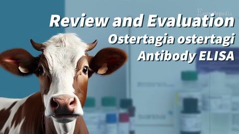 Encyclopedia-O. ostertagi ELISA in First-Season Grazing Calves