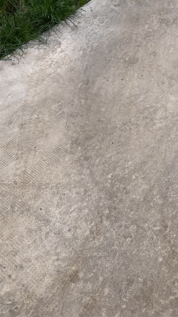 Mua bán Đất Huyện Châu Đức Bà Rịa - Vũng Tàu diện tích 1835 m² giá 3,5 tỷ