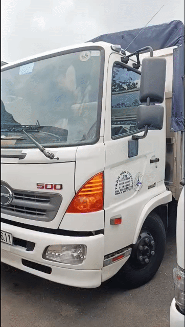 xe 6t5 Hino2022,Xanh,trắng,góp 399tr,nhiều loại xe. Mua bán Xe tải, xe ben tại Thành phố Thủ Đức Tp Hồ Chí Minh được đăng bởi Lê Hùng hình 1