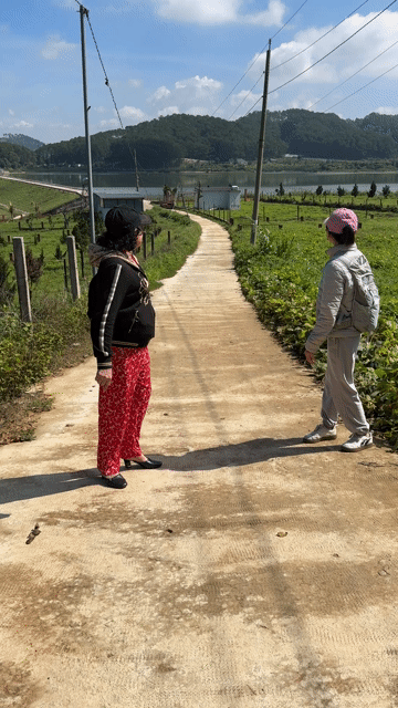 Mua bán Đất Huyện Đơn Dương Lâm Đồng diện tích 1000 m² giá 850 triệu