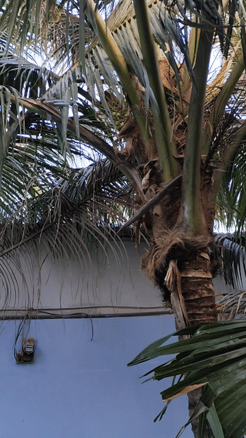Cho thuê Phòng trọ Huyện Hóc Môn Tp Hồ Chí Minh diện tích 34 m² giá 2,5 triệu/tháng