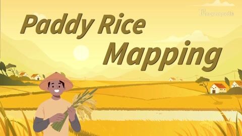 Smallholder Paddy Rice Mapping